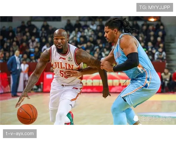 新赛季数据榜揭晓，年度最佳黑马表现亮眼引关注